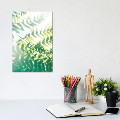 Fern Glow V by Jason Johnson - Wrapped Canvas Print