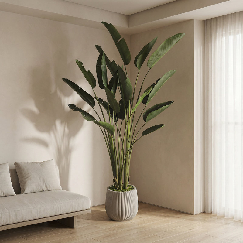 Bird of Paradise in Fiberstone Planter
