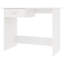 Hannigan Writing Desk-1463164793