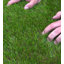 Fleur De Lis Living Artificial Grass