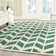 Bielecki Chevron Wool Hand Woven Area Rug