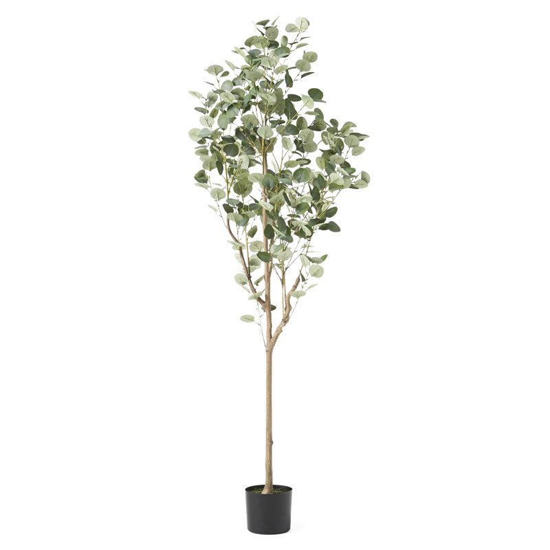 180 cm d'eucalyptus artificiel - Transforme la pièce avec une plante ravissante qui renforce le charme de la maison
