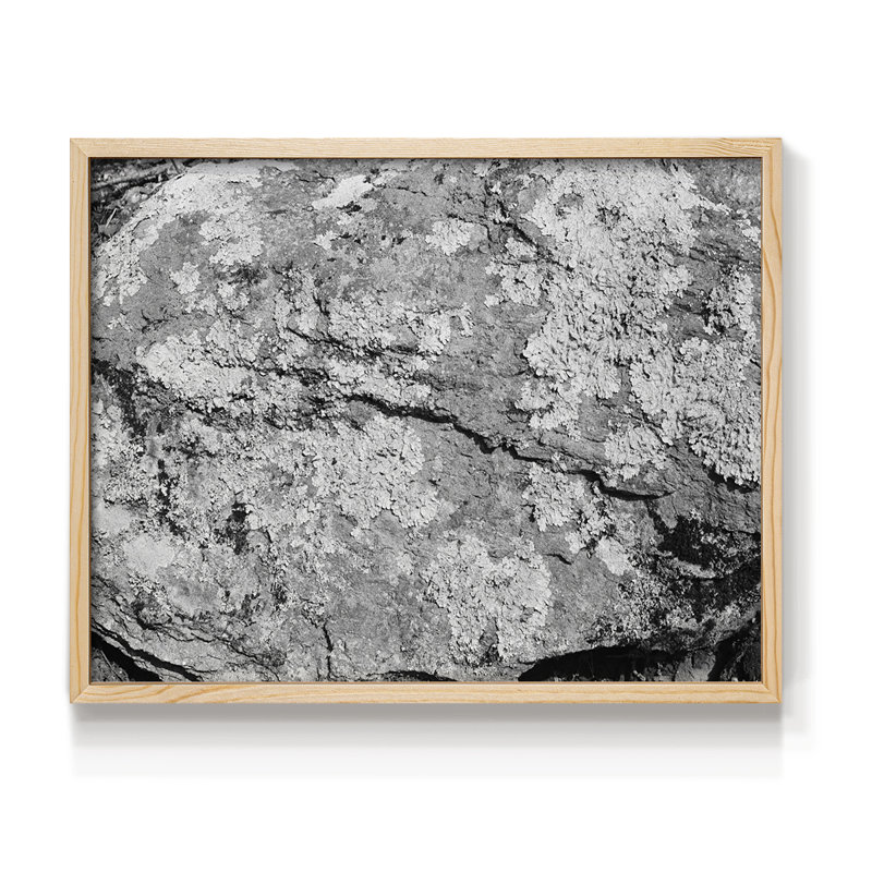 Found Foundures - Impression encadrée - Restickable, H 16 po x l 20 po, Naturel