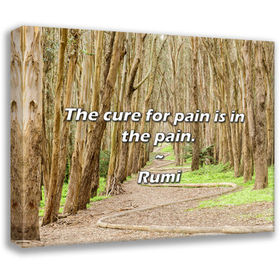 Rumi Quote: «The remède contre la douleur est dans la douleur».