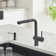 Linus Low Arc Pull-Out Dual-Spray Kitchen Faucet