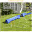 Trousse de dressage d'agilité Blue Dog