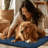 Large Dog Mats For Crates - Ultra-Soft Surface, Waterproof And Machine Washable Component, Chew Proof Design, Perfect For Home Or Kennel Use, Specifically Designed For Large Dogs & Cats-1233560703-1233560701