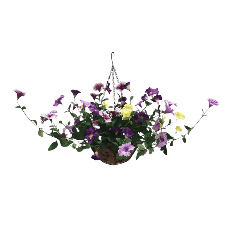 Petunia Hanging Basket Arrangement in Basket