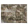 Caseville Abstract Indoor Rug