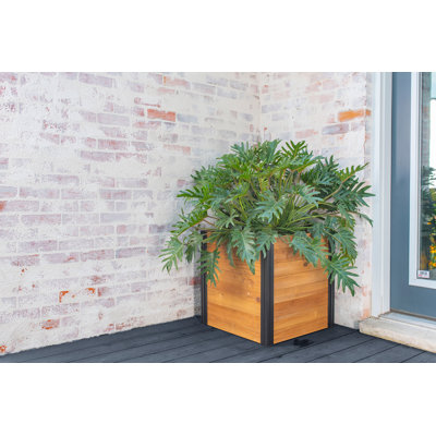 Mezza Wood Planter Box