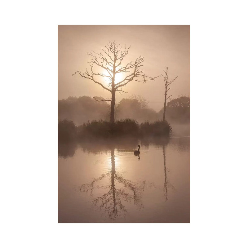 Morning Stillness by Adam Burton - Wrapped Canvas Print, 20.32 cm H x 30.48 cm W