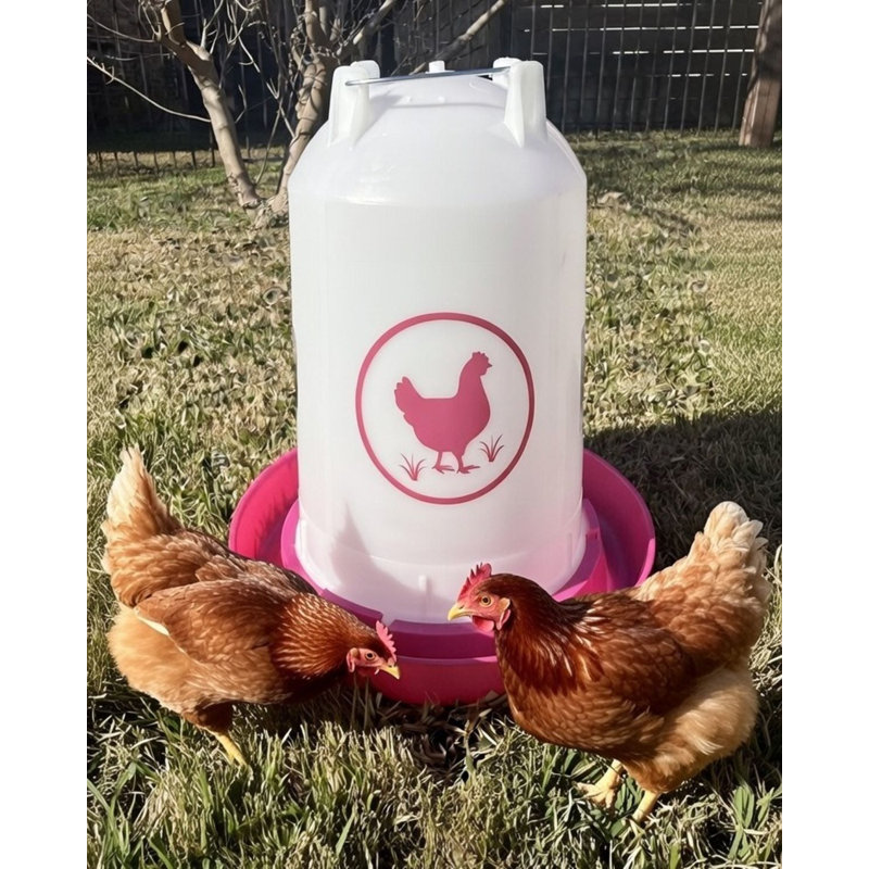 Abreuvoir à poulet 3,7 gallons - Fuchsia, 3,7 gallons, Rose