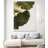 " Abutifolia No1 " by Shot