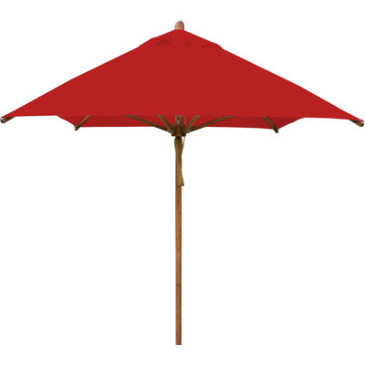Levante 120'' W Umbrella