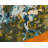Meadow Abstract Indoor Rug-40280741