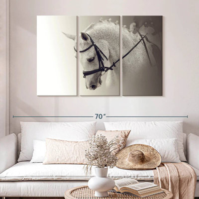 Cheval de dressage blanc