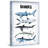 Assorted Sharks Print on Wrapped Canvas-443998063