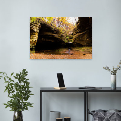 Art mural de la nature, paysage de fougère contemporaine, parc naturel de Mathiesse State Park, comté de Lasalle, Illinois, États-Unis
