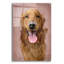  «Dog Portrait» par Ashley Bradley, art mural en verre acrylique-771520114