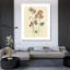 ArtDirect Robinson, Carol Gallery Wrapped Canvas Art Titled: Pressed Sweetpea-103096402