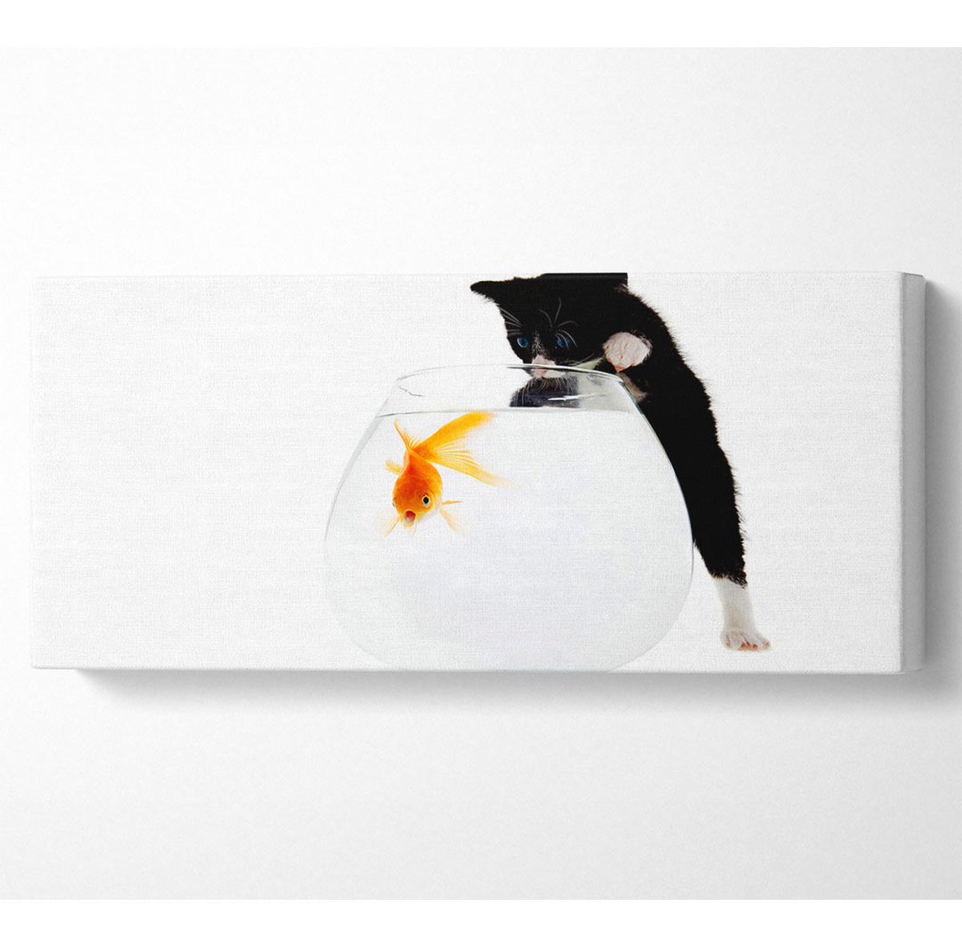 Kitten Fish Bowl - Kunstdrucke auf Leinwand - Wrapped Canvas