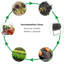 Aaryav Plastic Tumbler Composter