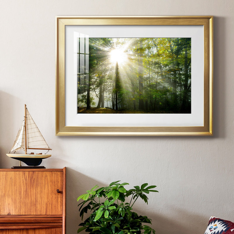 Light and Trees II - Photographie avec cadre, H 18,5 po x l 24,5 po x P 1,5 po, Cadre doré