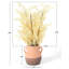 Arrangement floral blé en pot