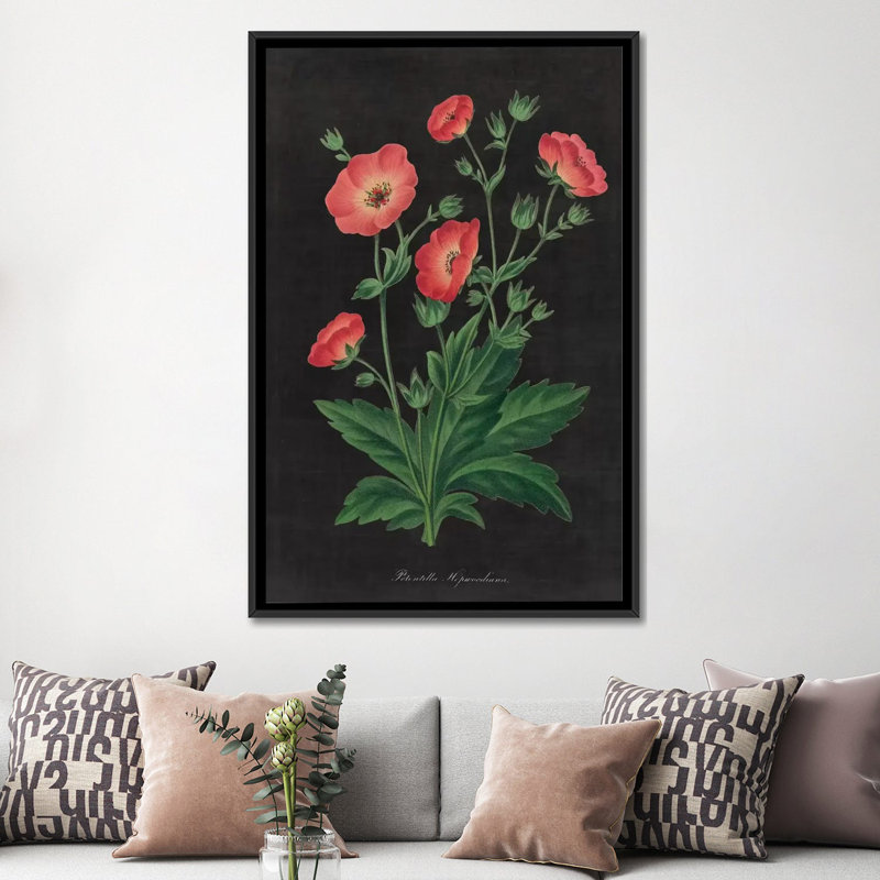 «Botanical Charte», impression sur toile tendue, H 26 po x l 18 po x P 1,5 po, Toile encadrée noire, Pas de tapis