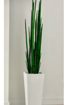 Faux Snake Plant (Sansevieria) Grass