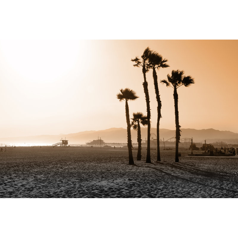 Santa Monica Beach Palms - Wrapped Canvas Print, 30cm H x 46cm W x 3.8cm D