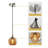 Charolyn 3 - Light Single Pendant Light Globe Pendant Light Fixtures Glass Pendant Lights Kitchen Island Lighting-1762425230-1749528566