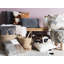 Leverett Abstract Square Cushion
