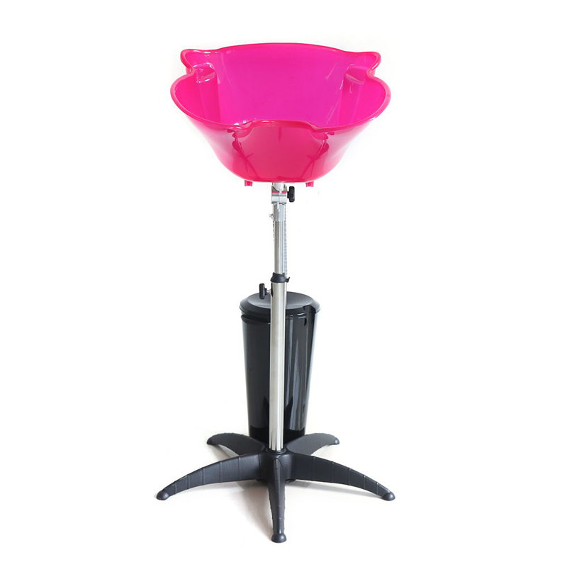 Hair Salon Shampoo Sink