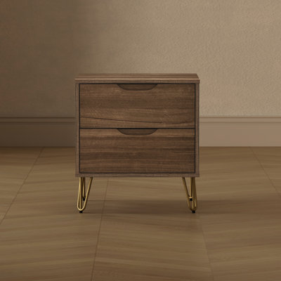 Avira 20" Mid-Century Modern 2-Drawer Nightstand in Brown