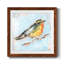 «Bird Variety IV», ensemble de 1 reproductions carrées sur toile-62718982-62718987