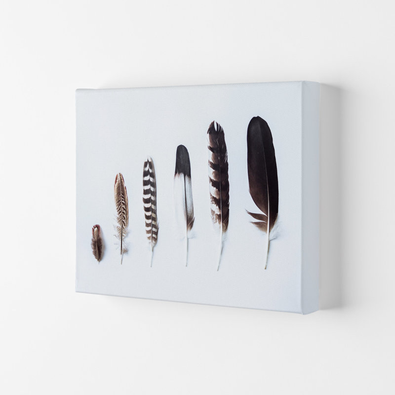 Feathers II 1 Piece Wall Art, 29.7cm H x 42cm W x 4cm D, Wrapped Canvas