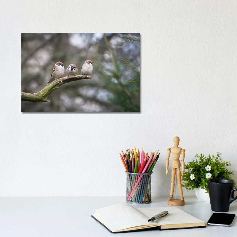 House Sparrows by Mateusz Piesiak - Wrapped Canvas Print, 20.32 cm H x 30.48 cm W