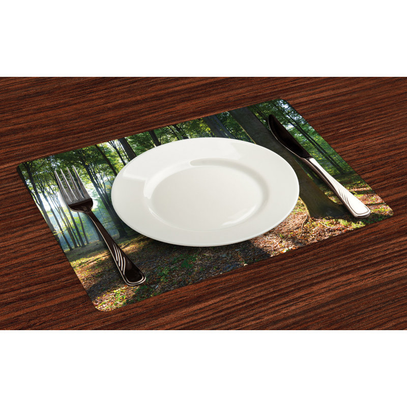 Récapitulatif 18,5" forest