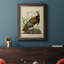 Toile de qualité supérieure Audubon Wild Turquie, prête à être accrochée-1756565097