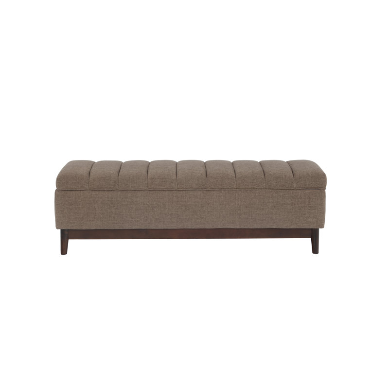 Brooke 2 Contemporary Storage Bench, Brown