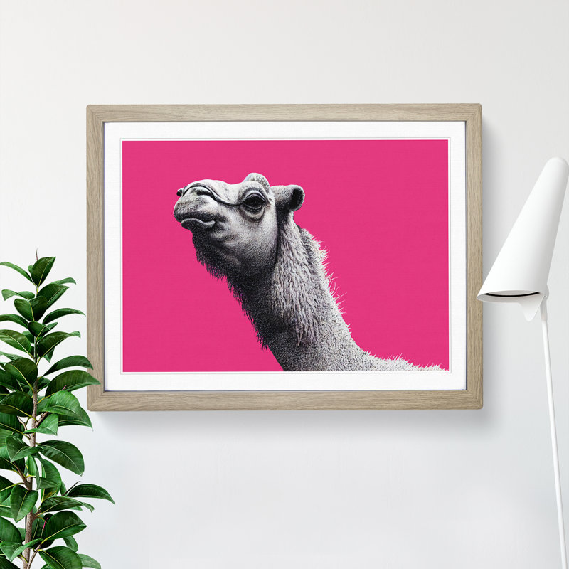 Legendary Camel - Single Picture Frame Print, 25cm H x 34cm W x 2cm D, Oak Framed