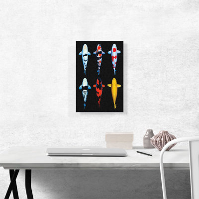 " Koi Carp Fish Asia Japan China "