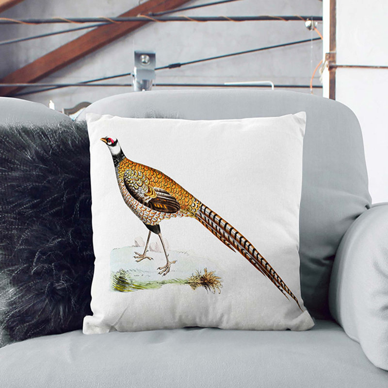 Square Throw Cushion, Black, 55cm H x 55cm W x 20cm D