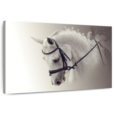 Cheval de dressage blanc