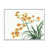 Cadre flottant blanc
