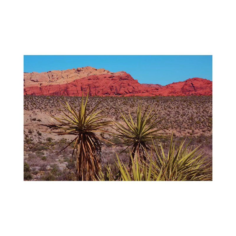 Soaptree Yucca, Red Rock Canyon National Conservation Area, Nevada, USA by Michel Hersen - Wrapped Canvas Gallery-Wrapped Canvas Giclée