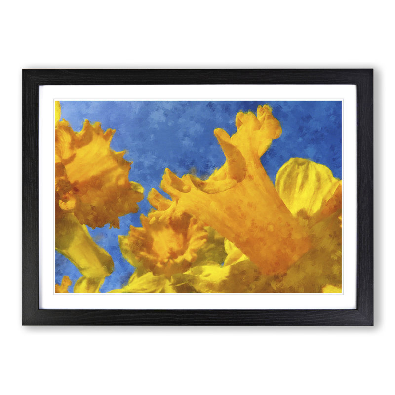 Yellow Daffodils - Picture Frame Graphic Art, 36cm H x 48cm W x 2cm D, Black Framed