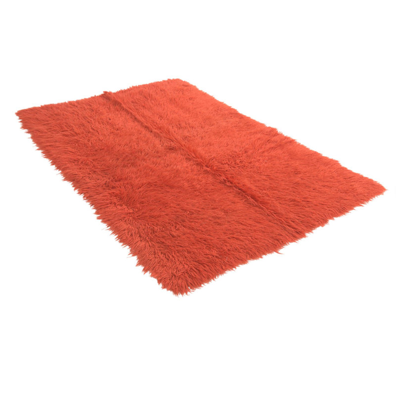 Iraheta Orange Rug