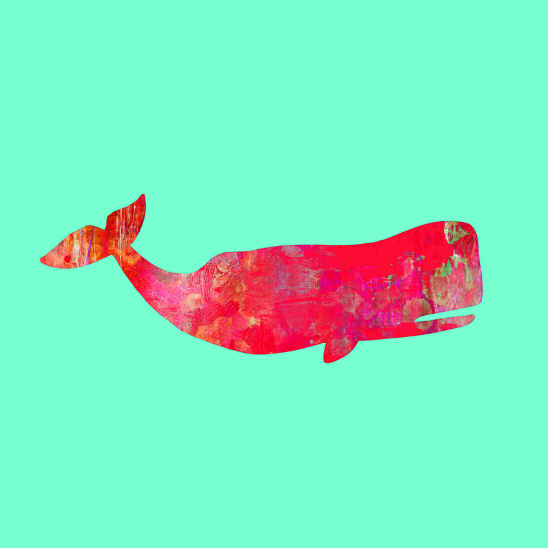 Baleine, H 36 po x l 36 po